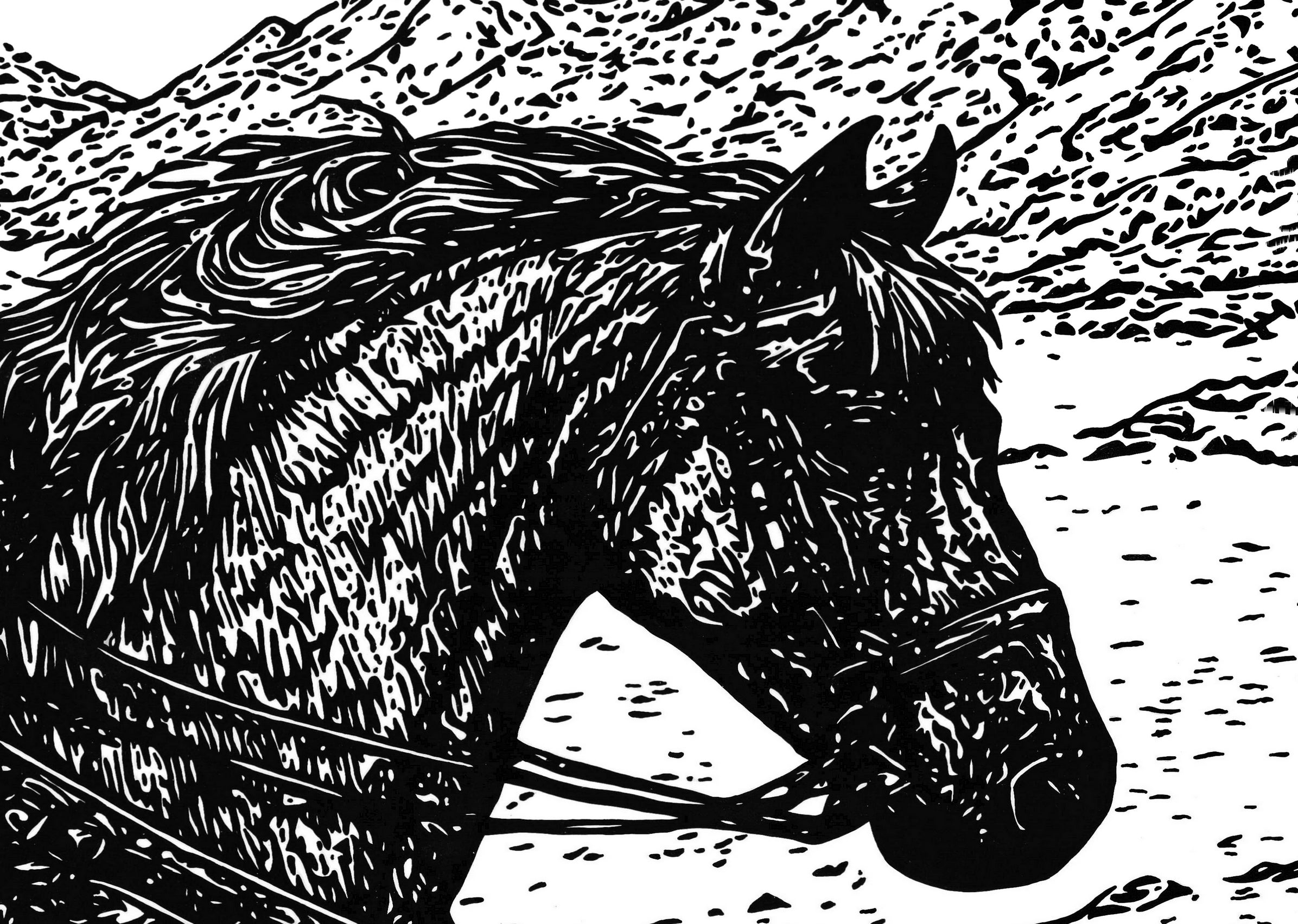 Knight Errant Original Ink Illustration