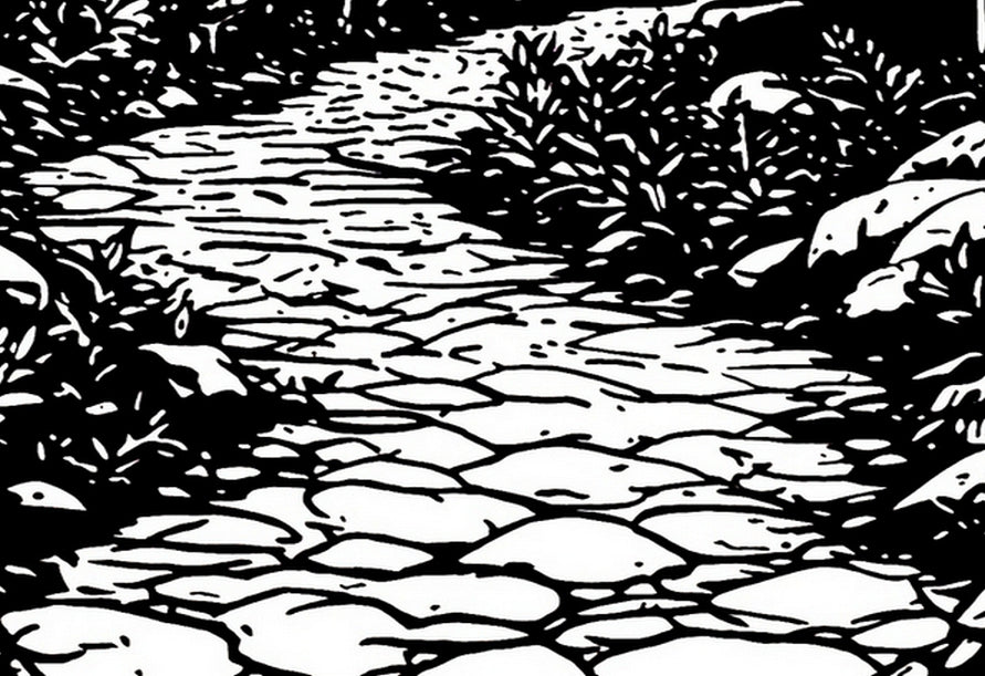 Secluded Pathway Original Ink Illustration
