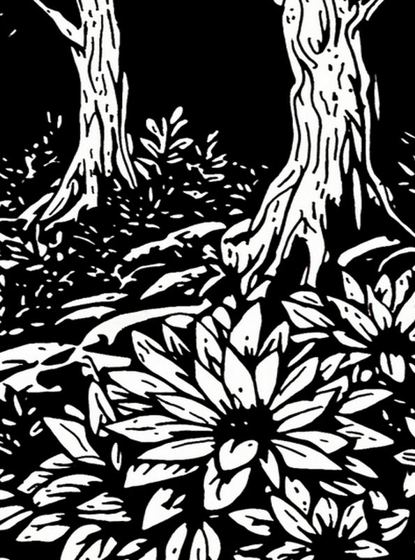 Secluded Pathway Original Ink Illustration